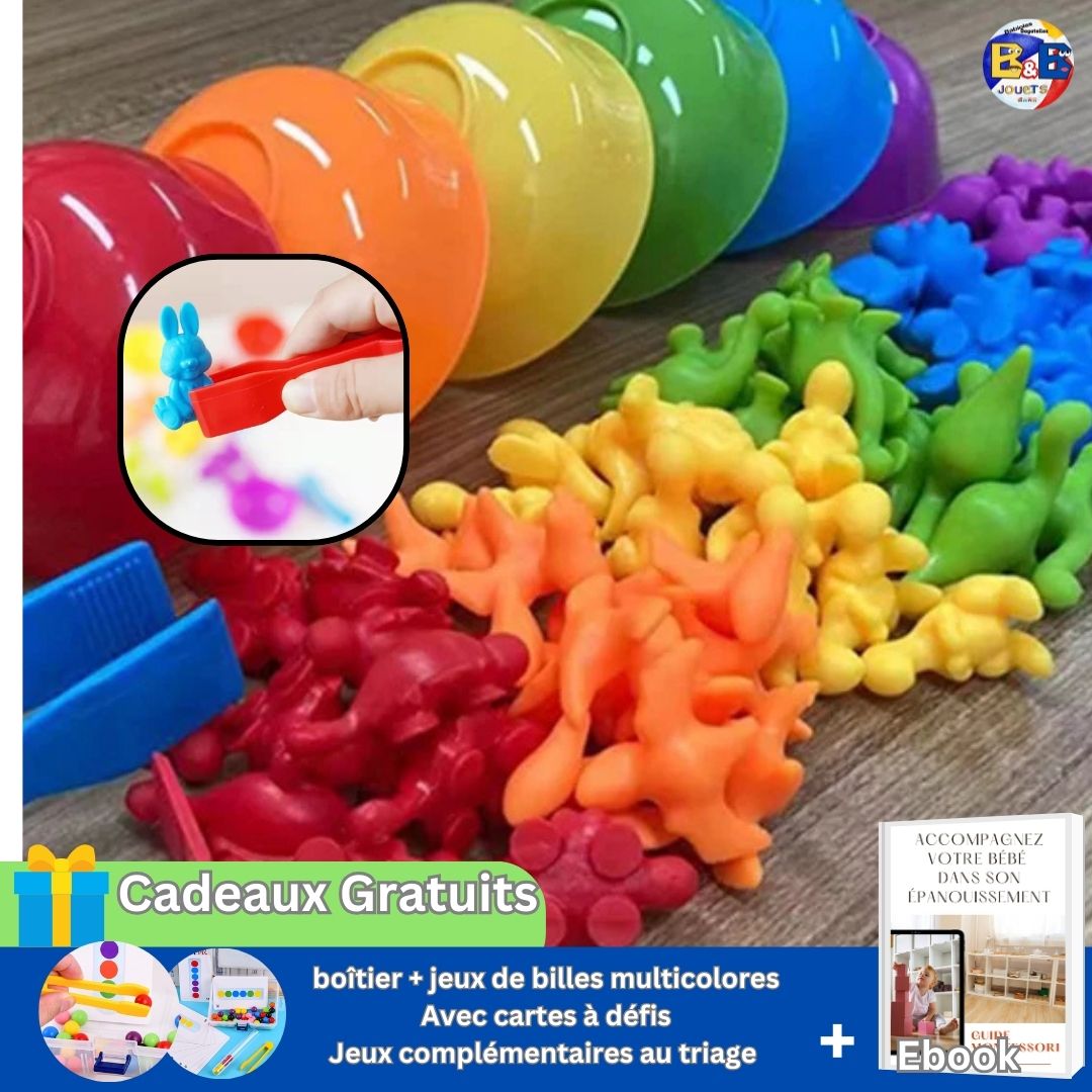 Jouet éducatif, créatif | Rainbow-animaux™